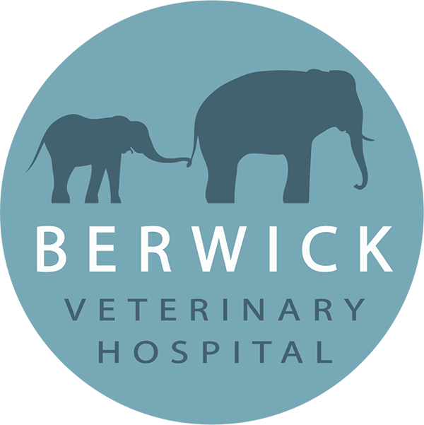 Berwick Veterinary Hospital logo