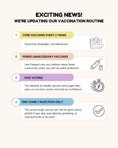 Updated Dog Vaccination Protocol