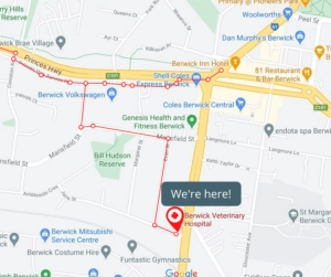 Map showing route and location marker for Berwick Veterinary Hospital with highlighted directions