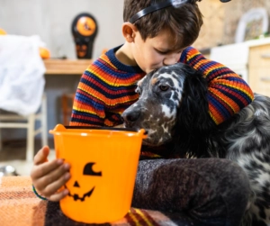 Young child sitting with a black and white dog while holding an orange Halloween trick-or-treat bucket with a jack-o-lantern face indoors