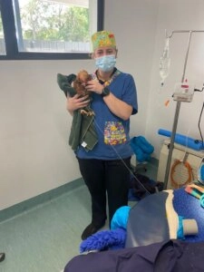 Veterinary nurse holding Fudgie the chicken wrapped in a green towel inside a veterinary treatment room
