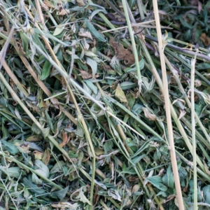 Close-up of dried lucerne hay showing a mix of green leaves and pale stems commonly used as feed for rabbits and other small animals