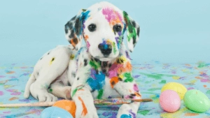 Dalmatian puppy covered in colourful paint lying on a table beside paint brushes and pastel Easter eggs on a light background