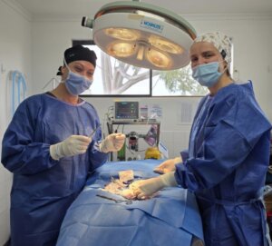 Dr. Daniel